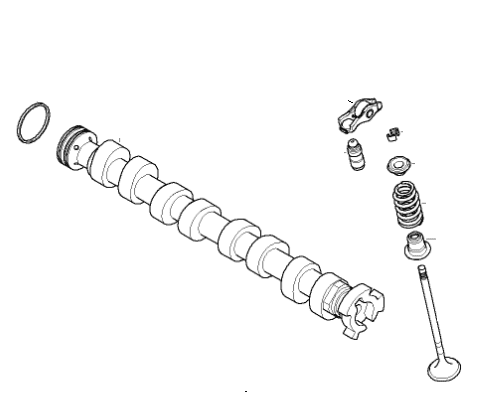 Camshafts & Valve Gear