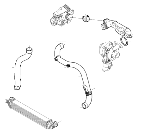 Charger Air Hoses