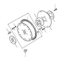 Drive Plate - Automatic 4.0 & 4.6