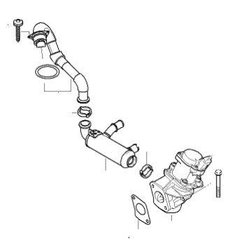 EGR Valve & Cooler