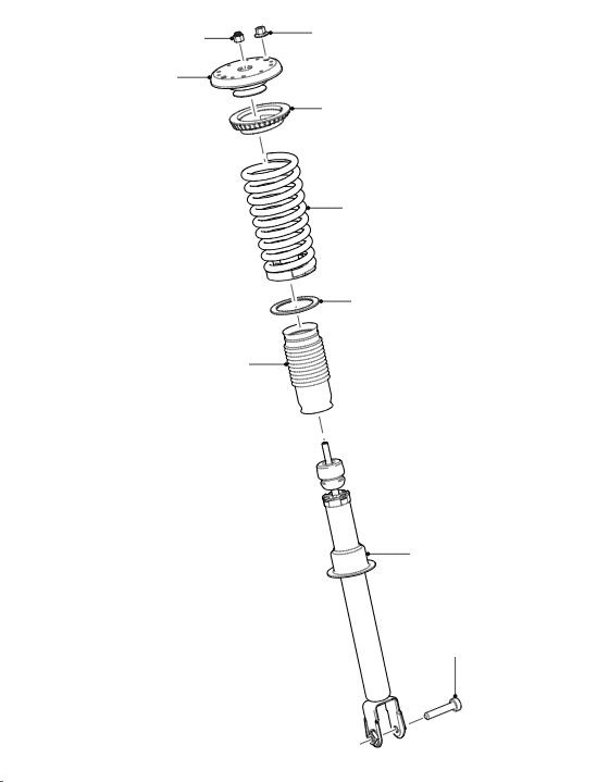 Front Shock Absorbers