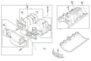 Inlet Manifolds 4.0 & 4.6