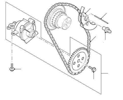 Oil Pump & Chain 2.4 Duratorq