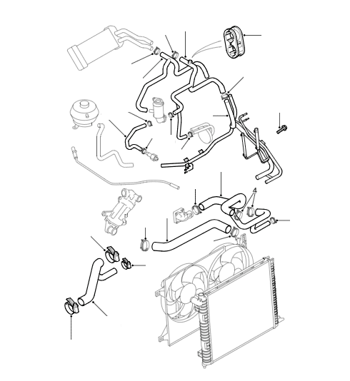 Radiator Hoses 2.0 TCIE