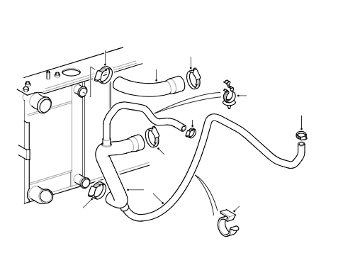 Radiator Hoses Tdi