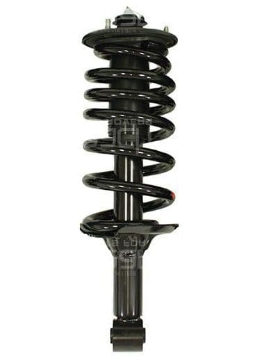 Rear Coil Suspension Struts & Springs