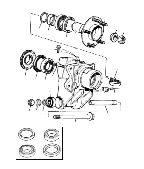 Rear Hub & Bearing