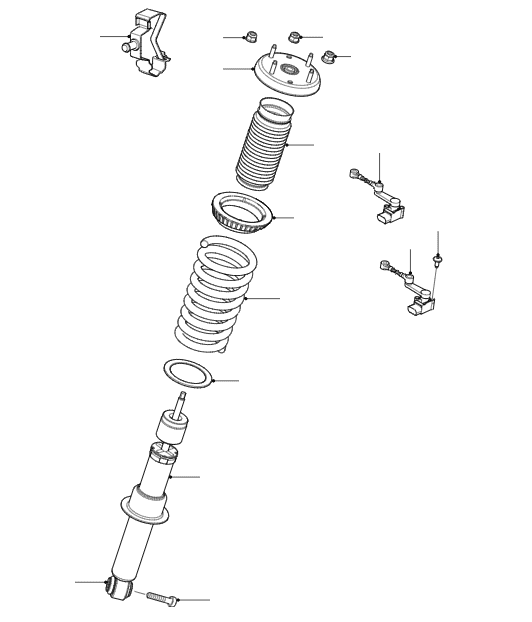 Rear Road Springs & Dampers - Standard