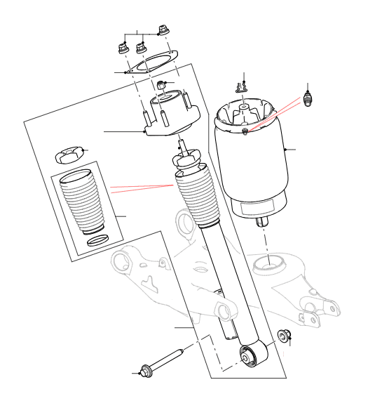 Rear Shock Absorbers