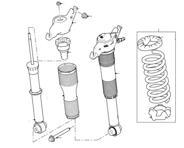 Rear Shock Absorbers & Coil Springs