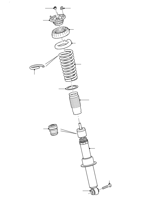 Rear Springs & Dampers