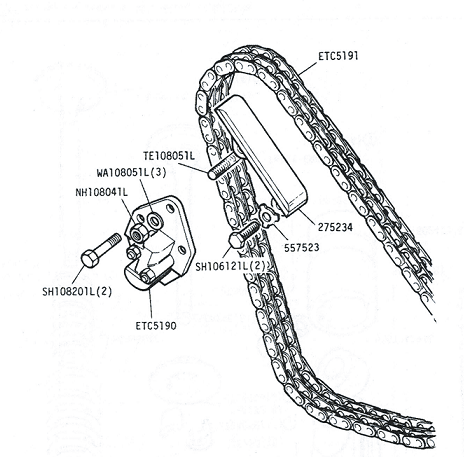 Timing Chain