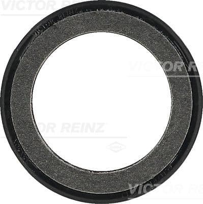 1102415 Reinz Crankshaft Oil Seal C2C11491