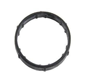 4413478 Gasket Therm Hsg 4.4 Aj V8