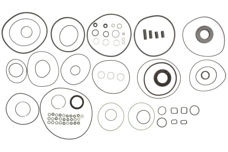 821.480 ZF6HP Transmission Seal Kit