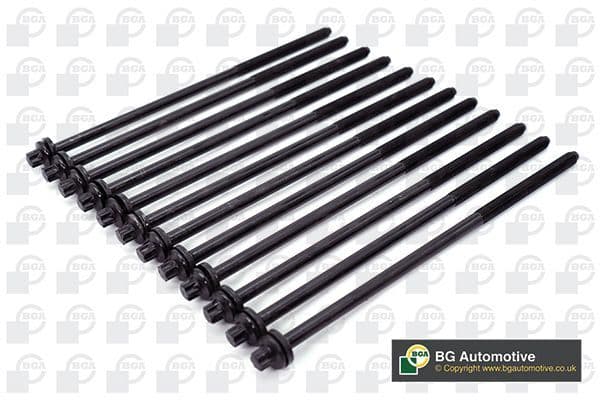 ERR5384 Cylinder Head Bolt Set  (12) BK3332