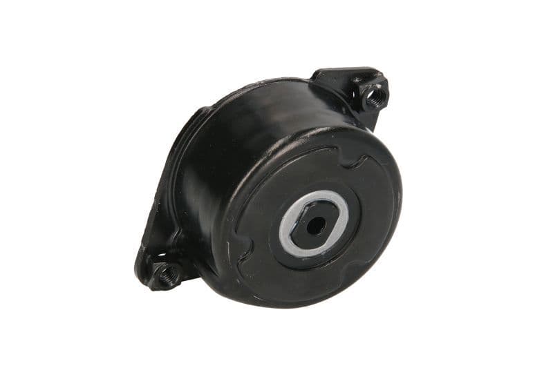 PQS101710L AUX DRIVE TENSIONER