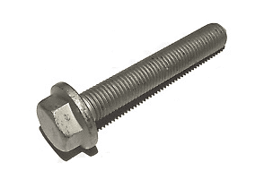 RYG101390 BOLT