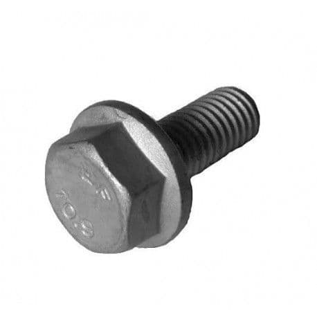 RYG500160 Screw