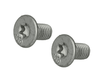 SYP100241 Brake Disc Retaining Screw Twin Pack